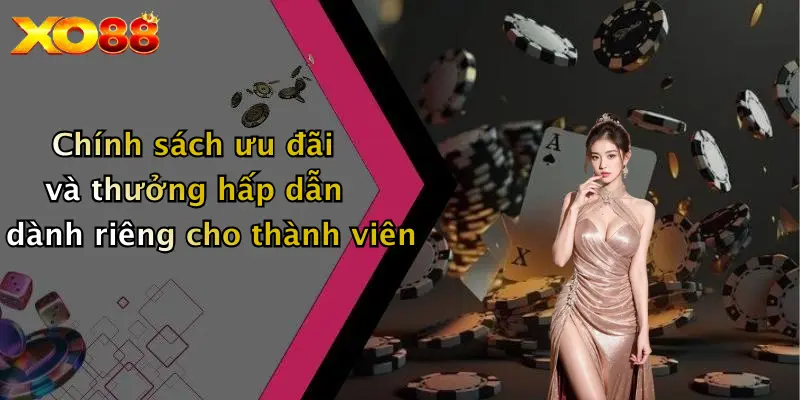 Chính sách ưu đãi và thưởng hấp dẫn dành riêng cho thành viên